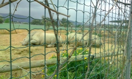 Attica Zoo Park 27-3-16