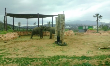 Attica Zoo Park 27-3-16 4