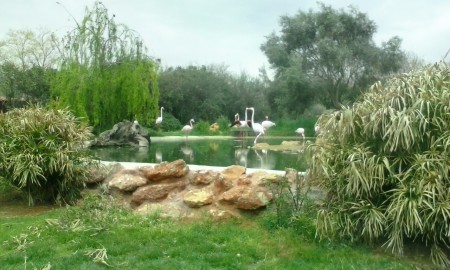 Attica Zoo Park 27-3-16 6