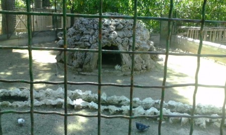 Εθνικός Κήπος 5