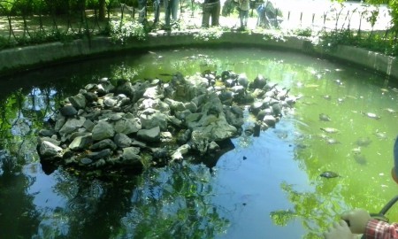 Εθνικός Κήπος 8